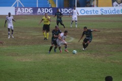IMG_2090