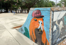 Pista de Skate da Arena Horto será entregue aos atletas